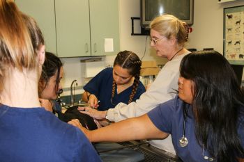 Instructor oversees student injection