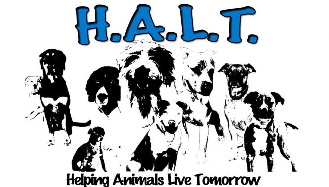 H.A.L.T. (Helping Animals Live Tomorrow)