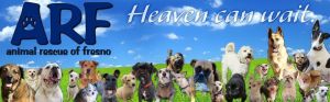 Animal Rescue of Fresno