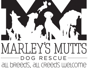 Marleys Mutts Logo