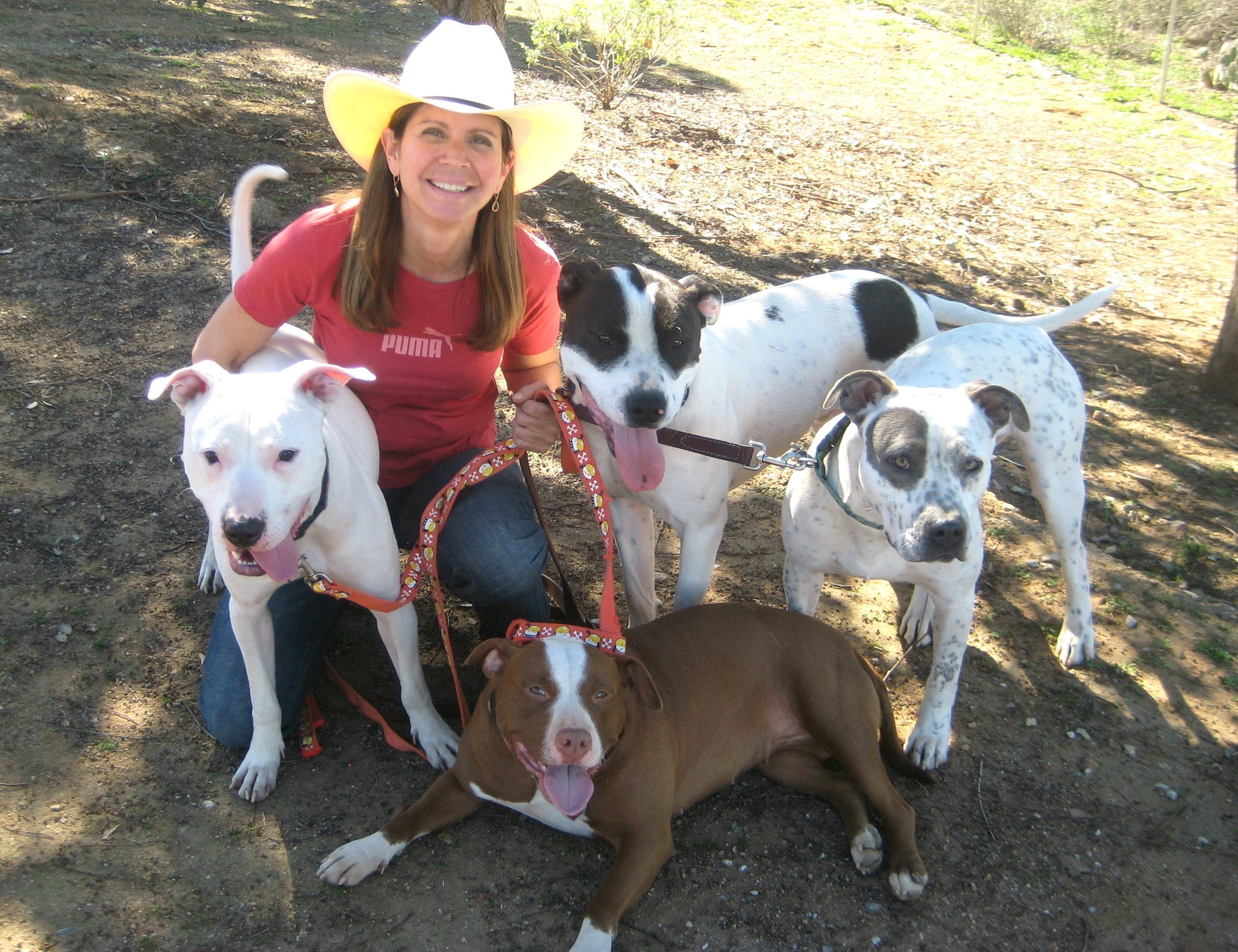 Angel's Heart Dog Rescue