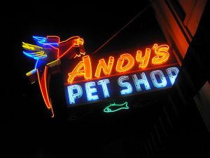 Andy's Adoption Center
