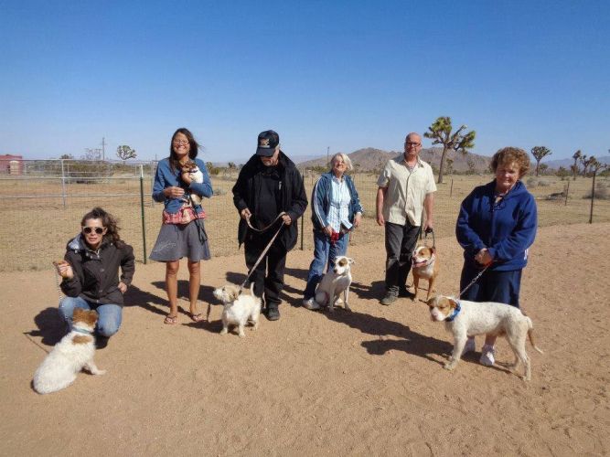 Pet Place International, Inc.