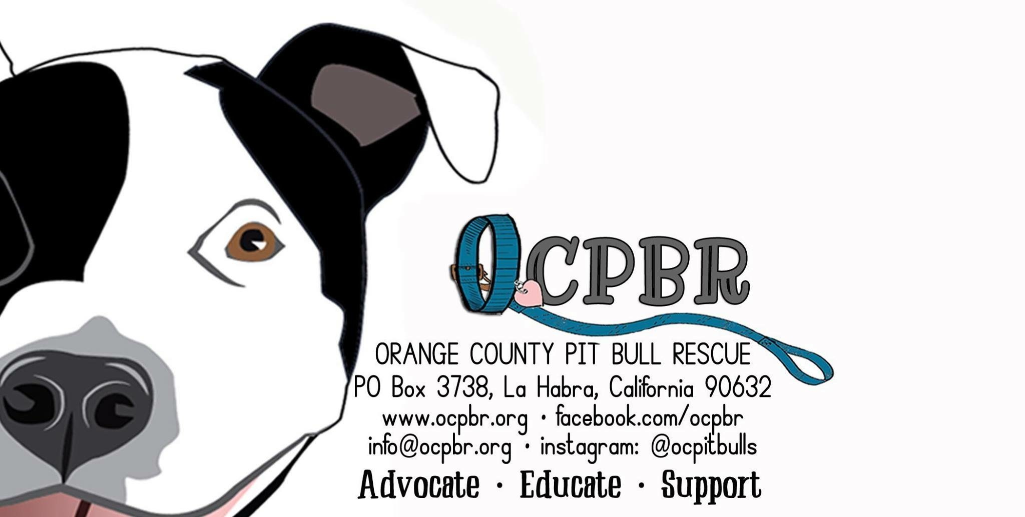 La pit bull store rescue