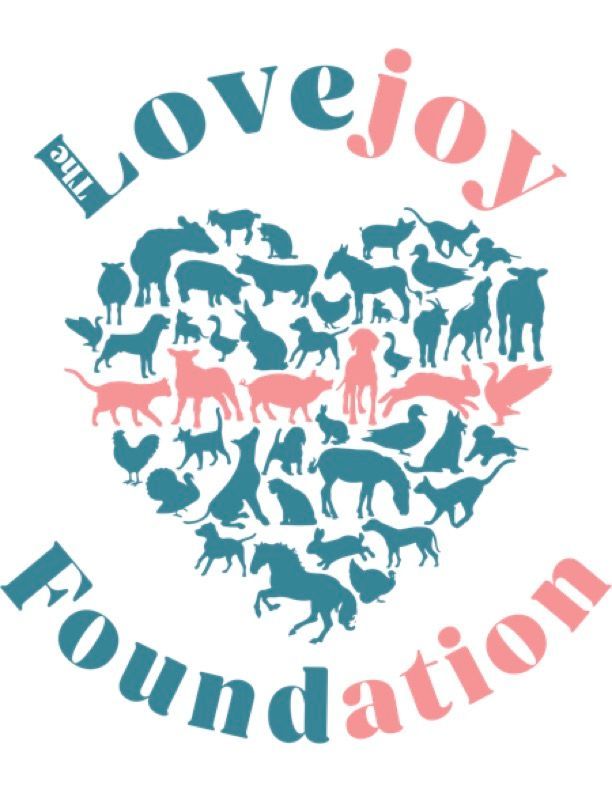 The Lovejoy Foundation Inc./Facility Clubhouse