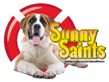 Sunny Saints, Saint Bernard Dog Rescue