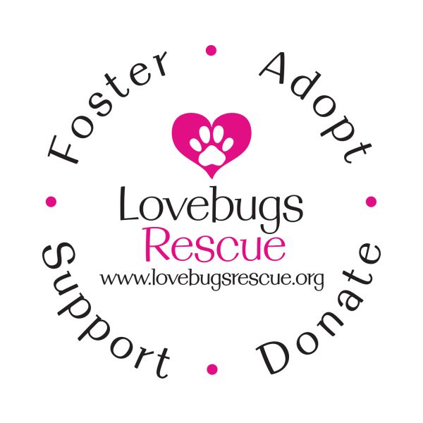 Lovebugs Rescue