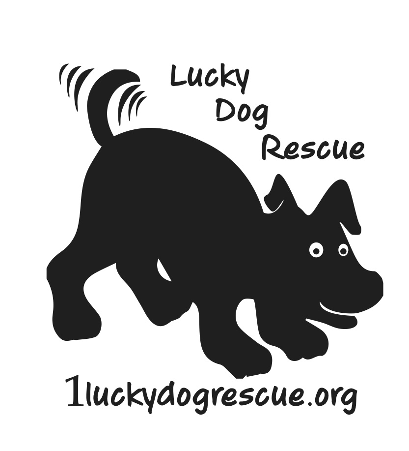 Lucky Dog Rescue Inc