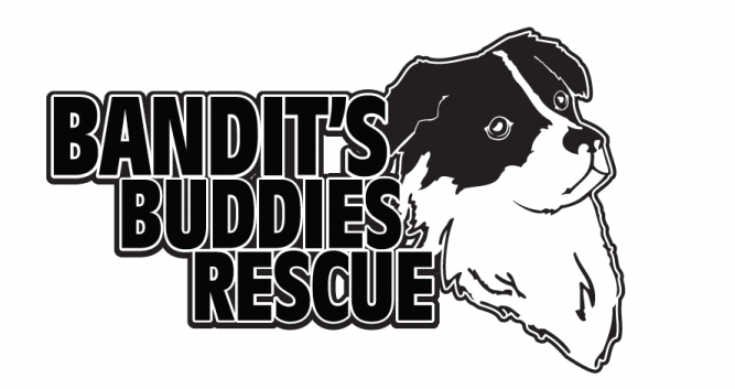 Bandit's Buddies Rescue