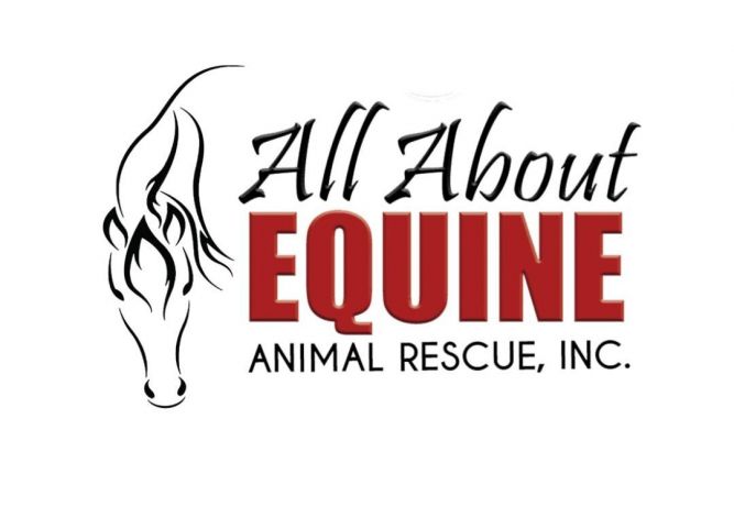 All About Equine Animal Rescue, Inc.