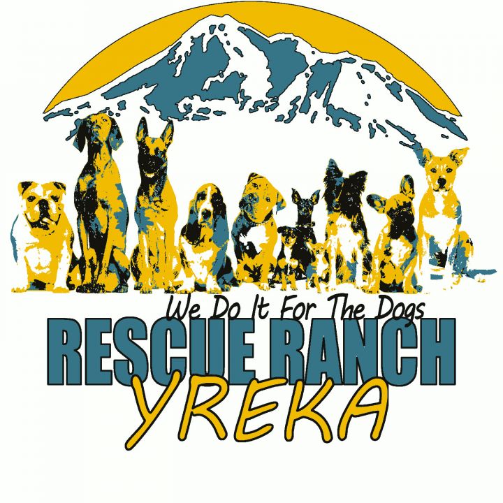 Dog Adoption at Rescue Ranch Inc.