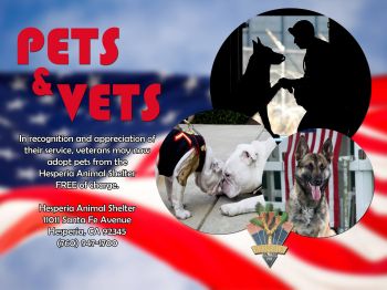 Pets & Vets Program