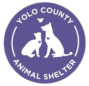 Yolo County Animal Services