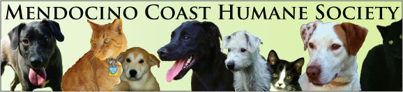 Mendocino Coast Humane Society