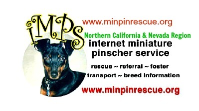 IMPS - Internet Miniature Pinscher Service, Inc. - Northern CA/NV region