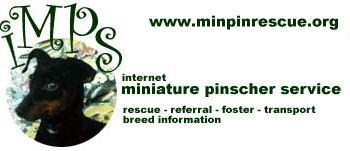 IMPS - Internet Miniature Pinscher Service, Inc. - Southern CA/NV region