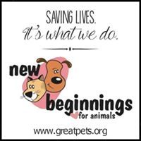 New Beginnings For Animals