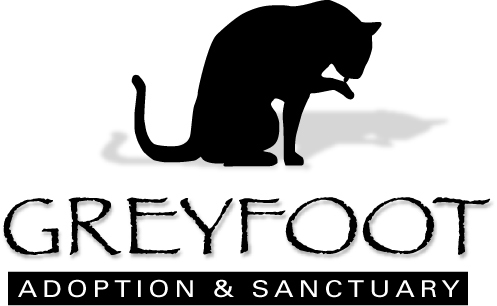Greyfoot Cat Rescue