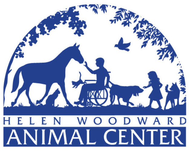 Helen woodward store adopt a dog