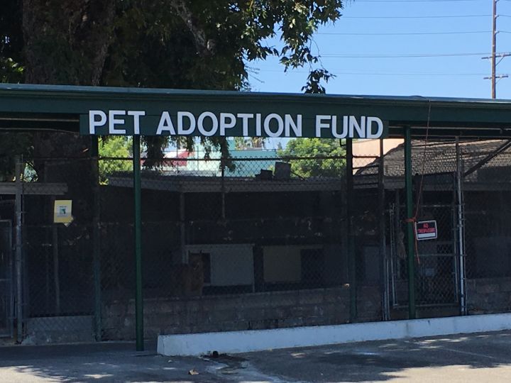 Pet Adoption Fund's front kennels.