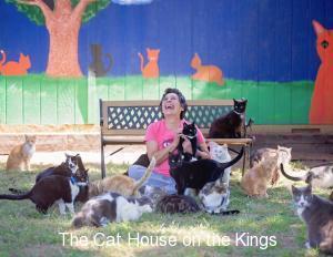 cat house on the kings