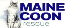 CA - Maine Coon Rescue (MCR)