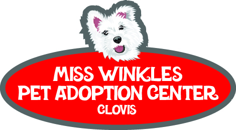 Miss Winkles Pet Adoption Center, Clovis