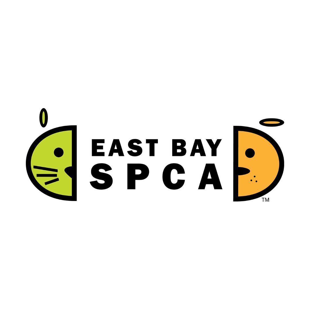 East bay spca store dogs