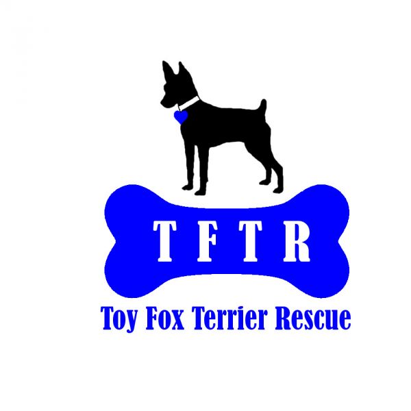 Toy Fox Terrier Rescue, Inc.