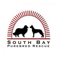 South Bay Purebred Rescue