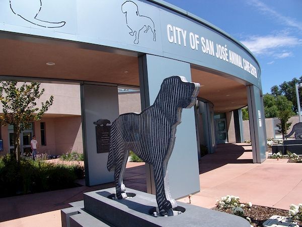 City of San José Animal Care Center