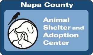 Napa County Animal Shelter