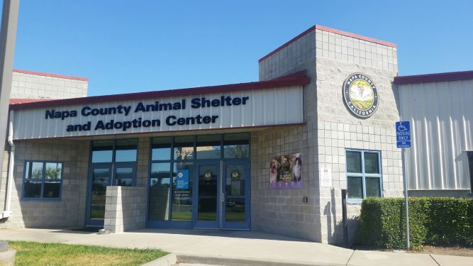 Napa County Animal Shelter