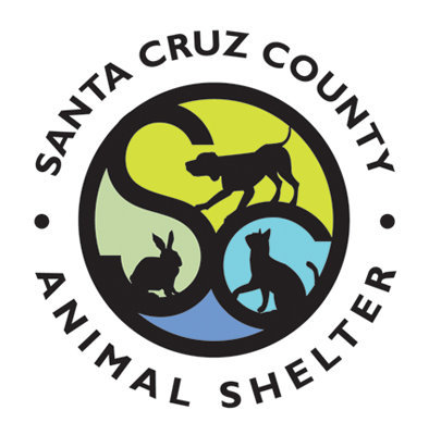 Pets for Adoption at Santa Cruz County Animal Shelter in Santa