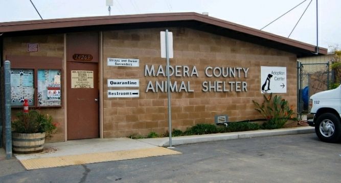 Madera County Animal Control