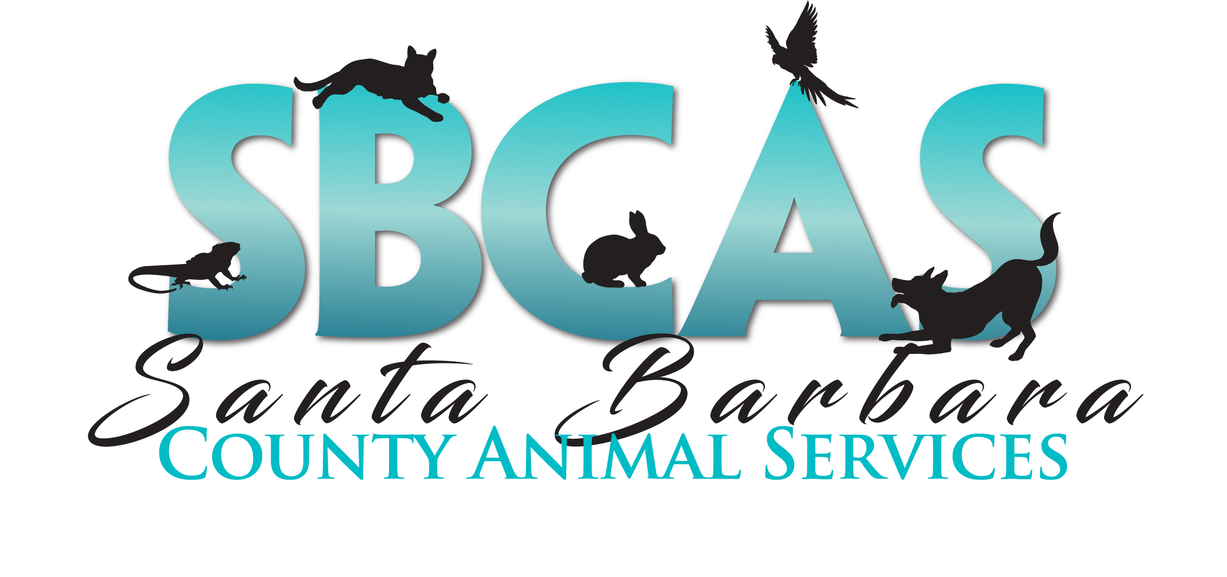 Pets for Adoption at Santa Barbara County Animal Services, in Santa Maria,  CA | Petfinder