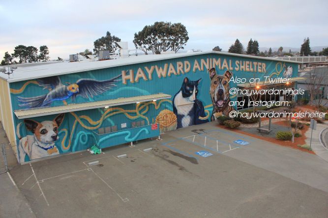 Hayward Animal Services Bureau