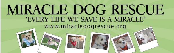 Miracle Dog Rescue