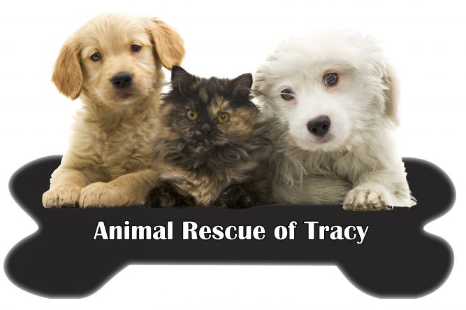 Animal Rescue of Tracy