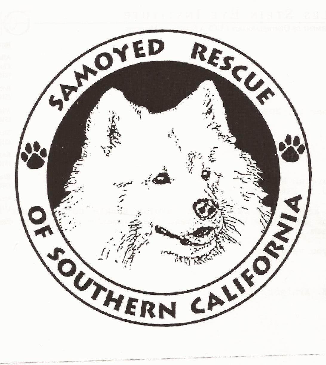 Socal store samoyed rescue