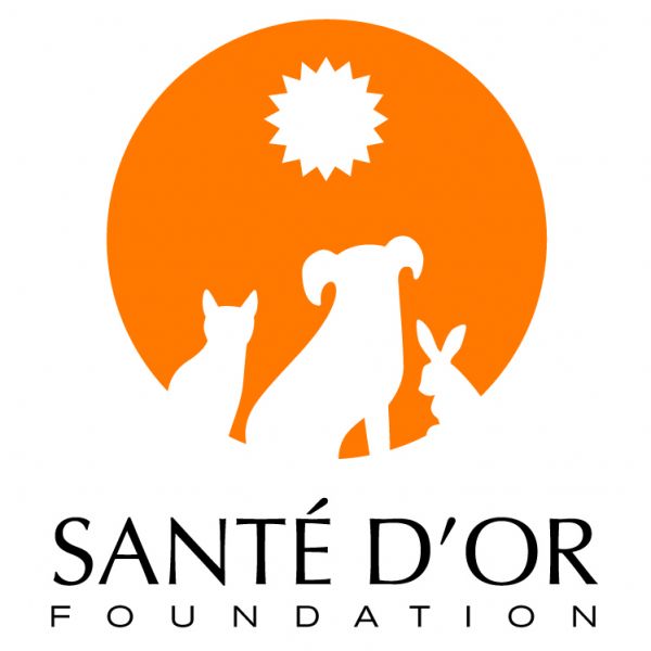 Sante D'Or Foundation