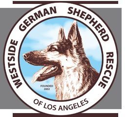 german shepherd rescue foundation