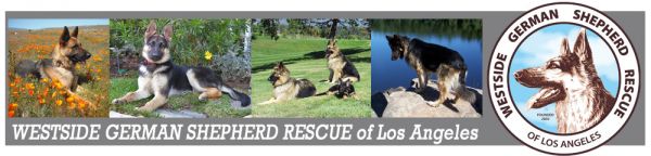 Westside German Shepherd Rescue of LA
