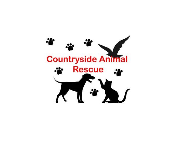 Countryside Rescue & Adoption Center