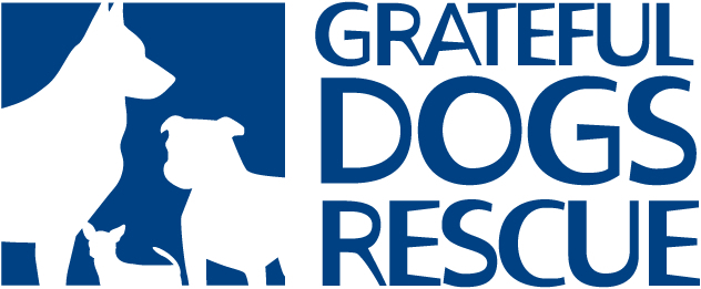 GDR logo