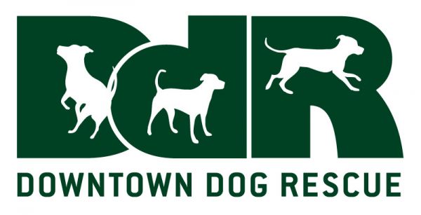 Downtown Dog Rescue