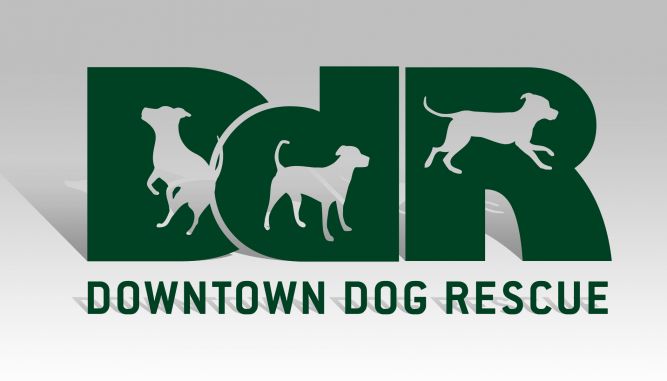 Downtown Dog Rescue