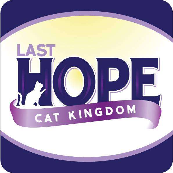 Last Hope Cat Kingdom