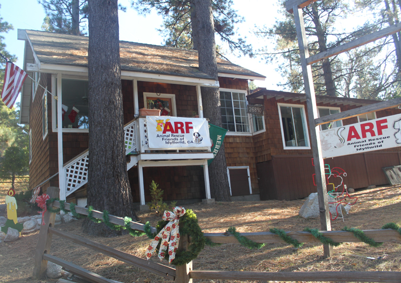 ARF - Animal Rescue Friends/Idyllwild