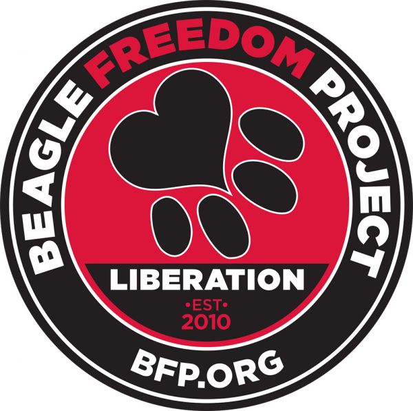 Beagle Freedom Project